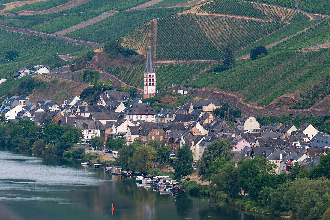 Zell an der Mosel, Merl Mosel district, Cochem-Zell district, Rhineland-Palatinate, Germany, Europe