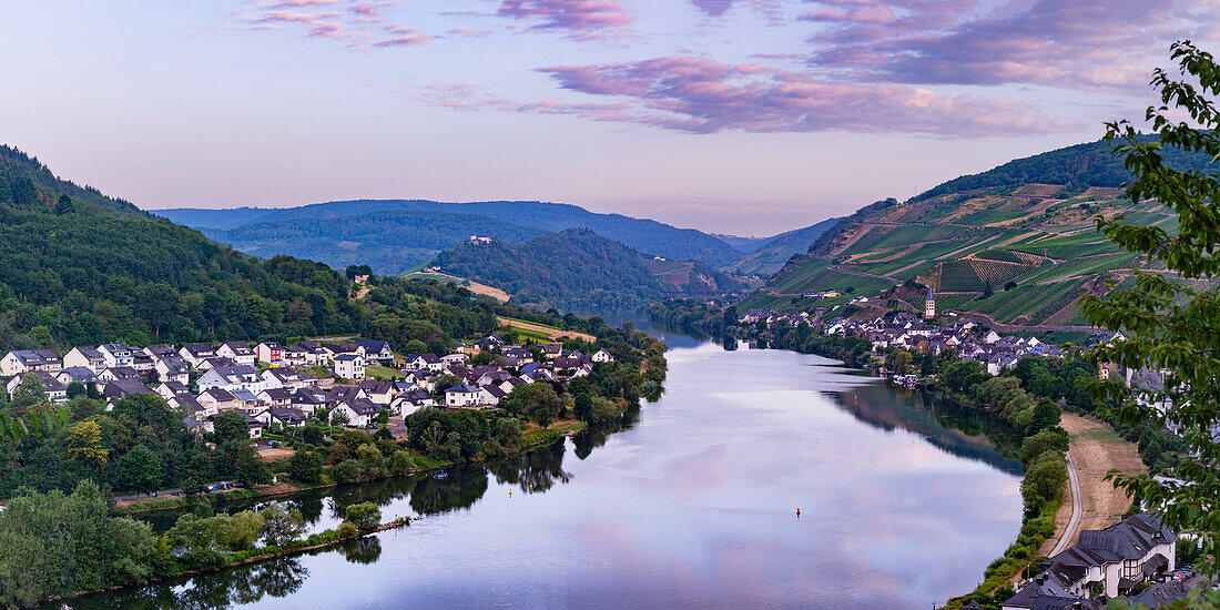 Zell an der Mosel, Merl Mosel district, Cochem-Zell district, Rhineland-Palatinate, Germany, Europe