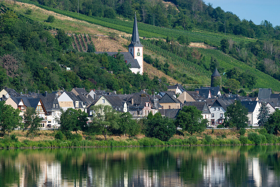 the wine village of Briedel on the Moselle, Cochem-Zell district, Rhineland-Palatinate, Germany, Europe