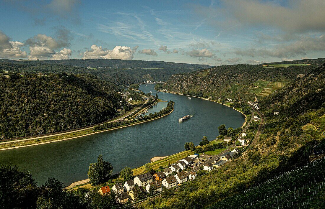 Blick über Weinberge auf den Rheinbogen bei St. Goarshausen-Wellmich und Burg Maus, Oberes Mittelrheintal, Rheinland-Pfalz, Deutschland