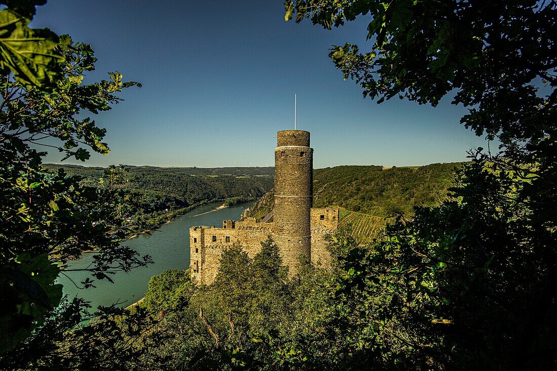 Blick vom Rheinsteig auf Burg Maus und das Rheintal bei St. Goarshausen-Wellmich, Oberes Mittelrheintal, Rheinland-Pfalz, Deutschland