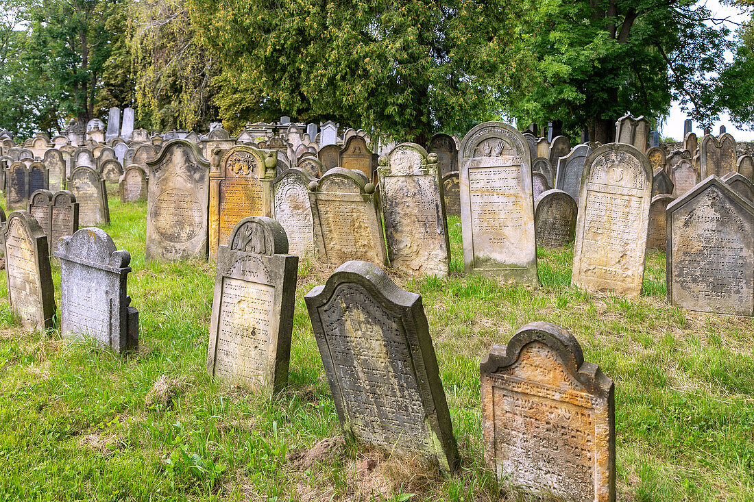 Jewish cemetery in Úsov in Moravia in the Czech Republic