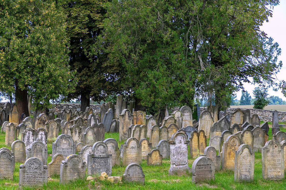 Jüdischer Friedhof in Úsov in Mähren in Tschechien