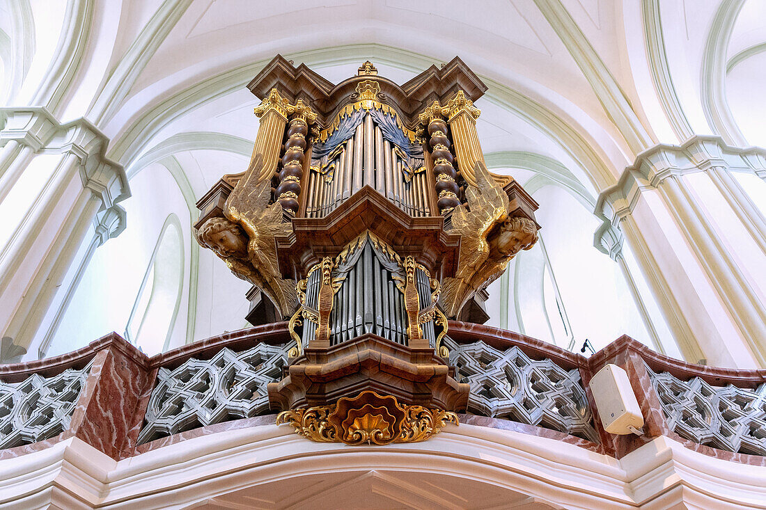 Orgelempore der Konventskirche Mariä Himmelfahrt in Žďár nad Sázavou in der Böhmisch-Mährischen Höhe in Tschechien