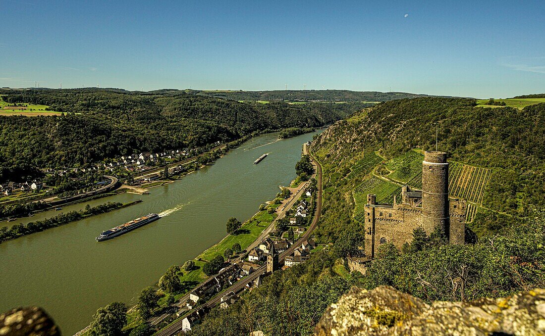 Blick vom Rheinsteig auf Burg Maus und ein Hotelschiff auf dem Rhein, Oberes Mittelrheintal, St. Goarshausen, Rheinland-Pfalz, Deutschland