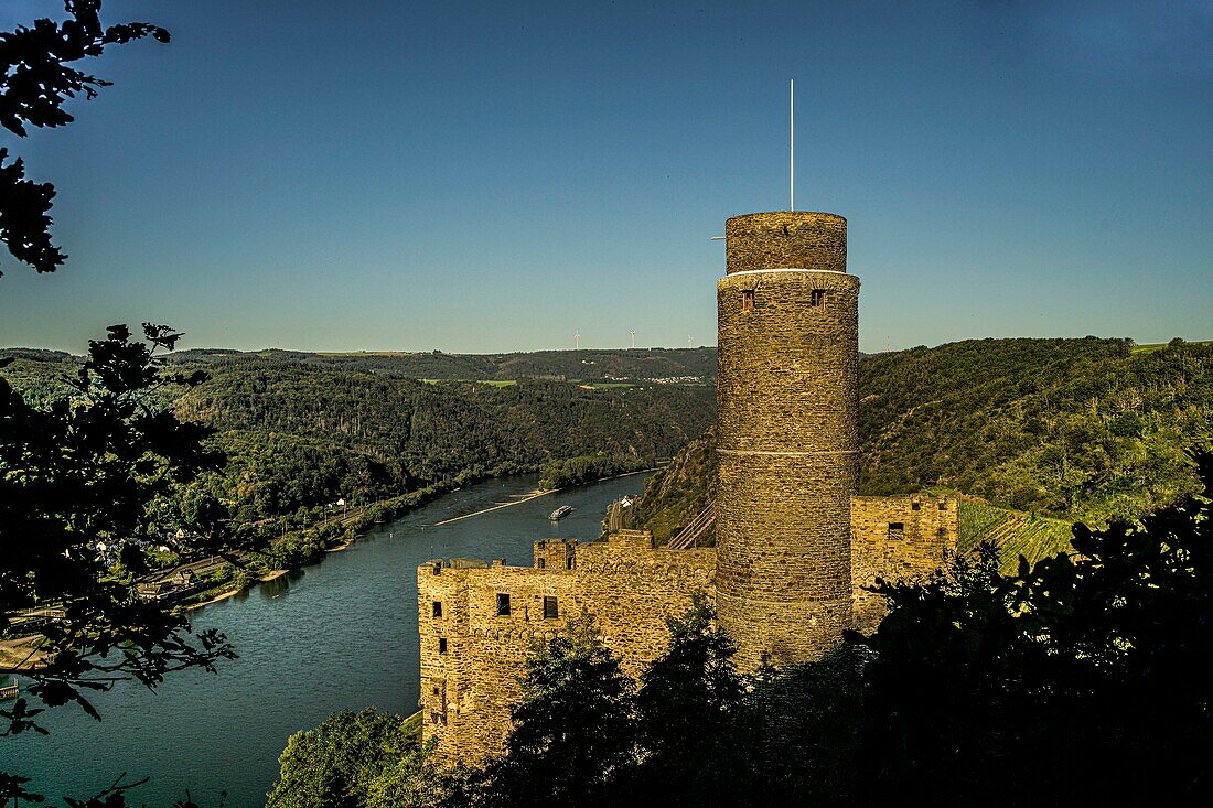 Blick vom Rheinsteig auf Burg Maus und das Rheintal, St. Goarshausen, Oberes Mittelrheintal, Rheinland-Pfalz, Deutschland