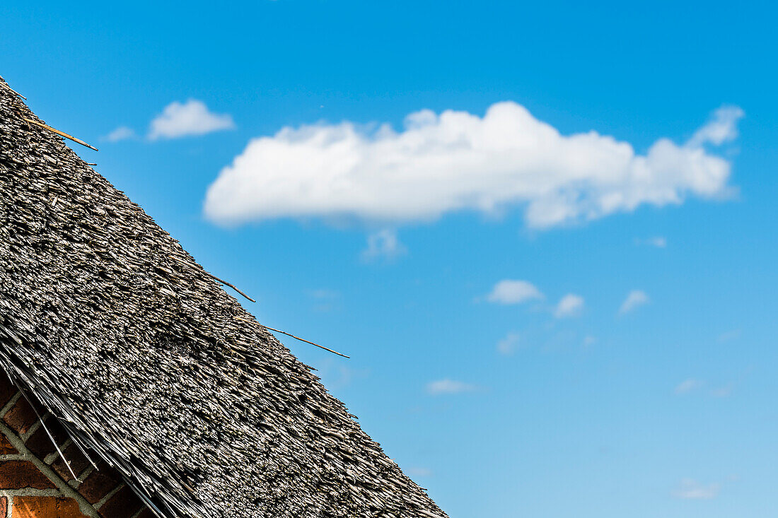 Thatched roof house, Finkenwerder, Hamburg, Germany