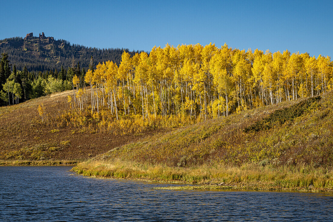 Golden Aspen in front of the Rabbit Ears and next to Muddy Pass Lake