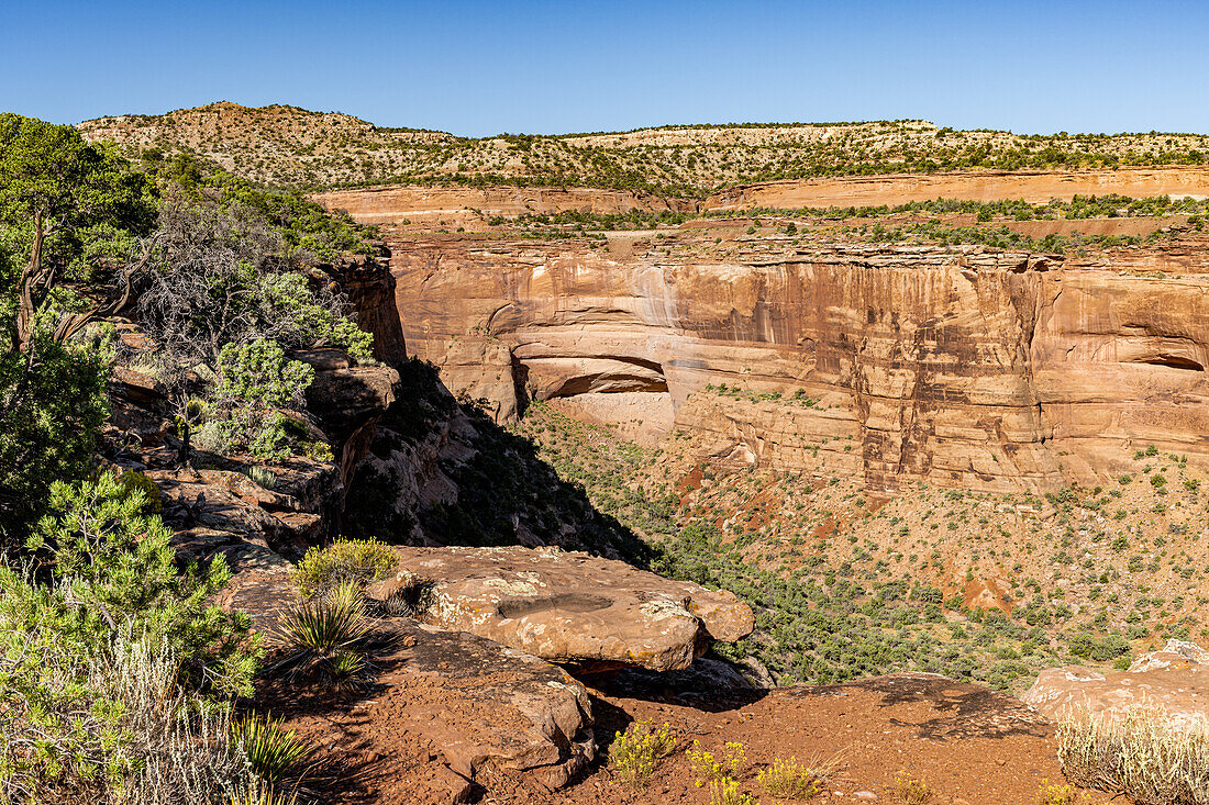 Monumnetas and Canyons as viewed off of Rim Rock Drive in Colorado National Monument