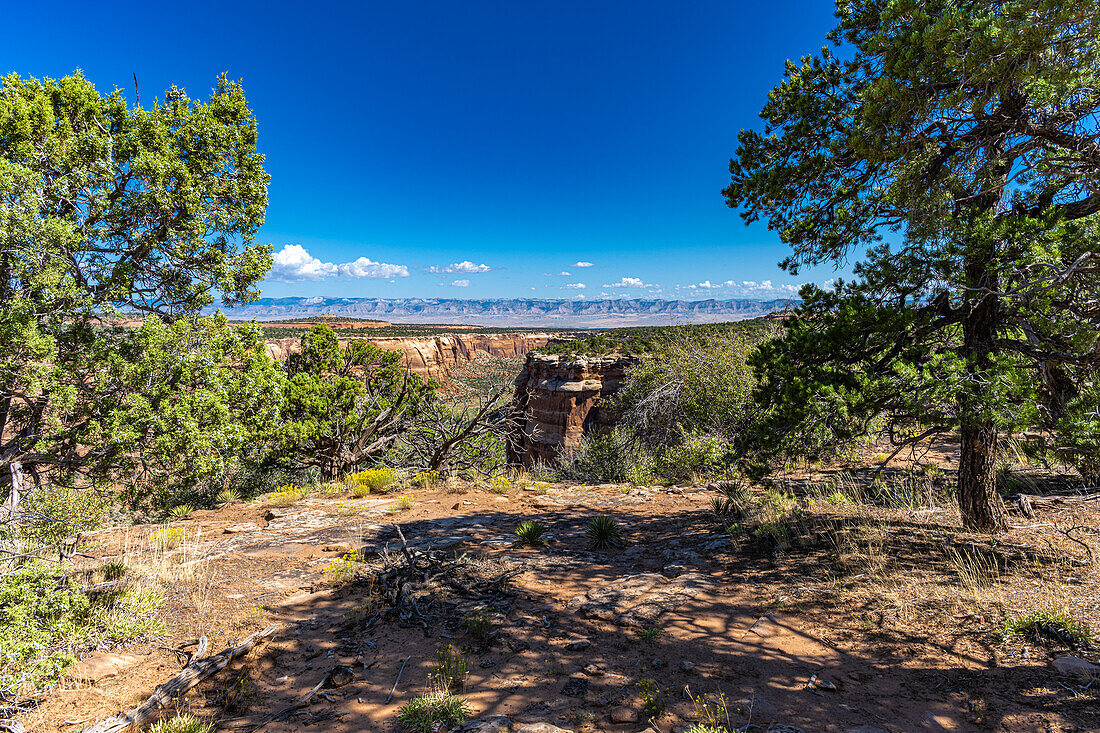 Monumnetas and Canyons as viewed off of Rim Rock Drive in Colorado National Monument