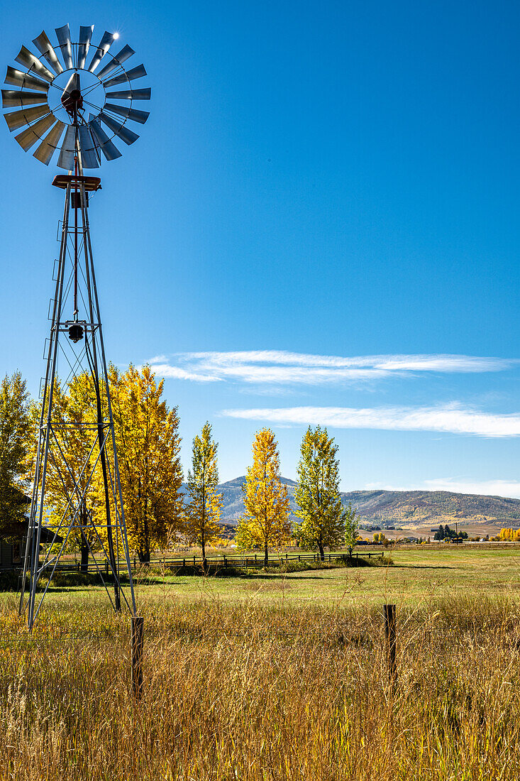 Wilde Mühle im Yampa-Tal mit Herbstlaub, Colorado, USA