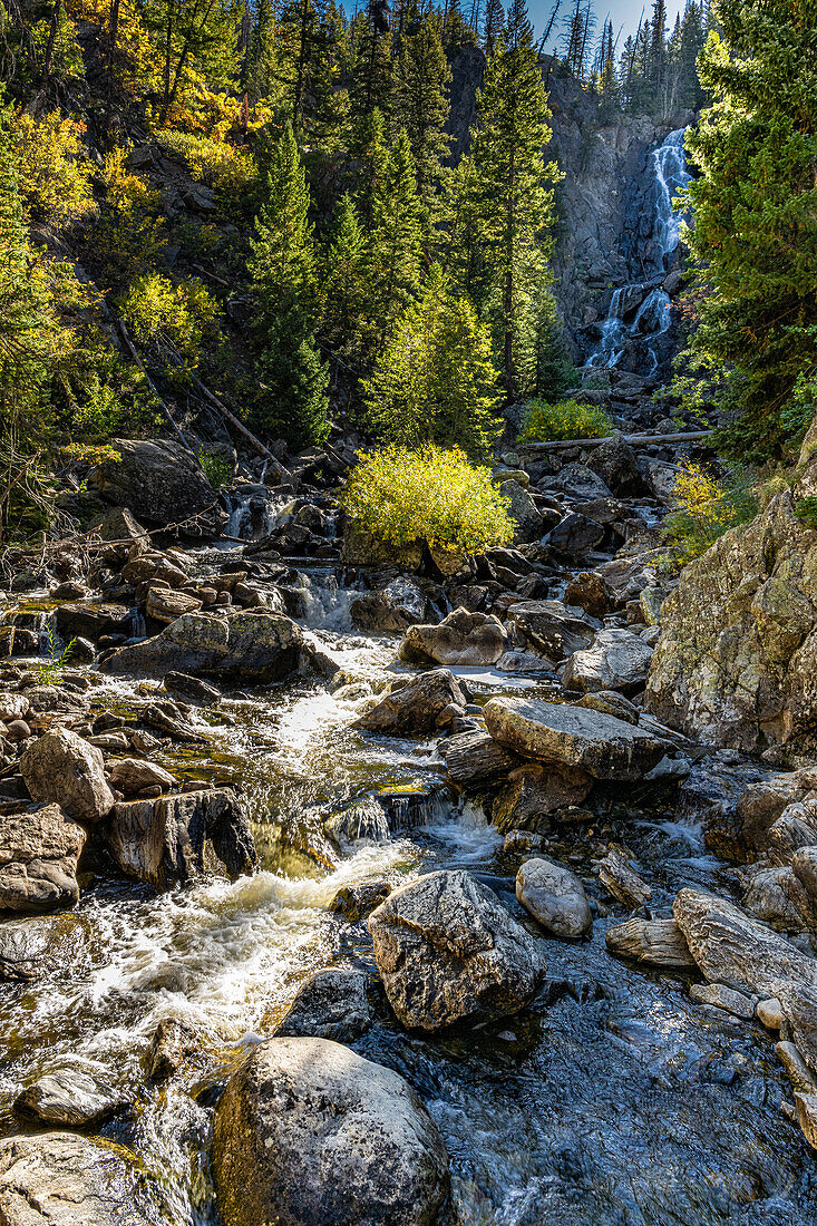 Herbstlaub in der Nähe der Fish Creek Falls in Steamboat Springs, Colorado, USA