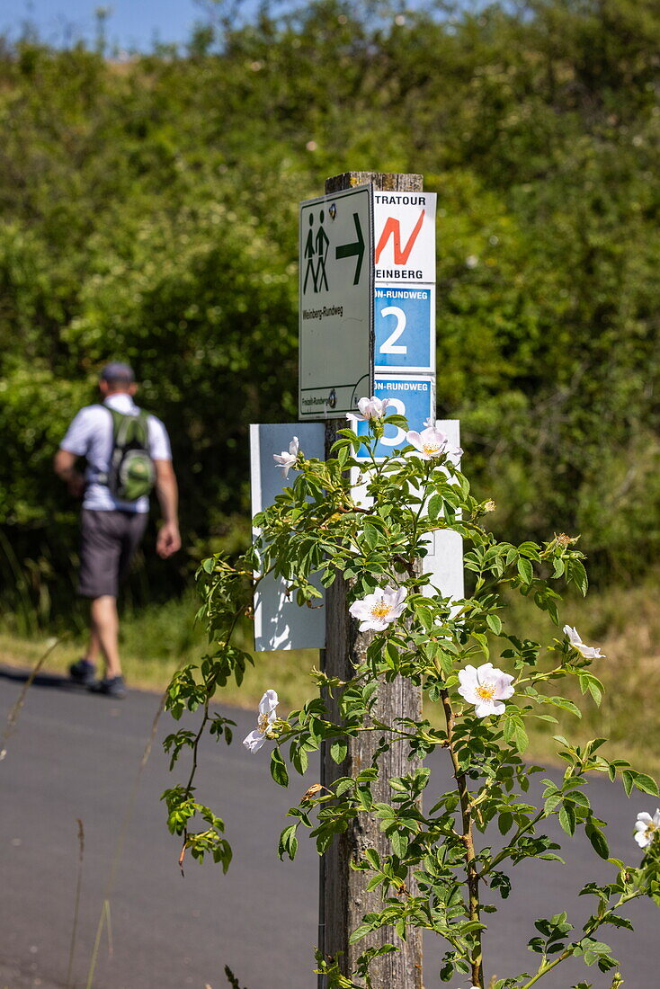 Sign for hiking and cycling trails in the Hessisches Kegelspiel region, Hünfeld, Rhön, Hesse, Germany