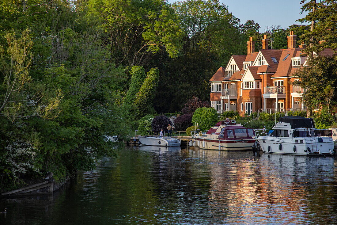 Boote vertäut neben Villen an der Themse, Maidenhead, Berkshire, England, Vereinigtes Königreich