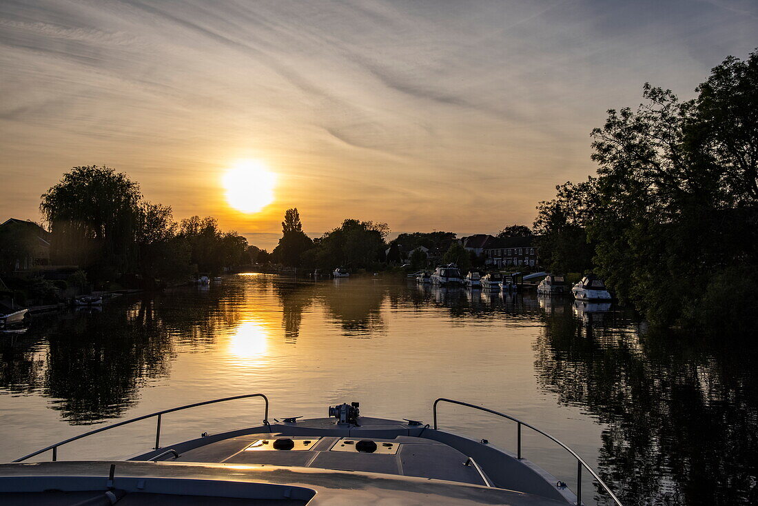 Bow of a Le Boat Horizon 4 houseboat on the River Thames with reflection of trees at sunset, Chertsey, Surrey, England, United Kingdom