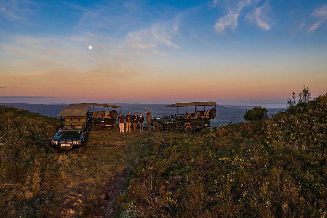 Grootbos-Allradfahrzeuge auf einem Bergrücken mit Gästen bei Sonnenuntergang, Grootbos Private Nature Reserve, Westkap, Südafrika