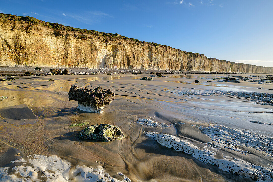 Weiße Felsen und Balsaltpilz am Strand von Sotteville-sur-Mer mit Kreideklippen im Hintergrund, Sotteville-sur-Mer, GR 21, Côte d'Albatre, Alabasterküste, Atlantikküste, Normandie, Frankreich