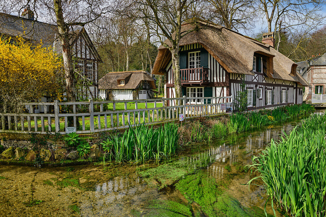 Half-timbered house with stream Veules, Veules-les-Roses, GR 21, Côte d´Albatre, Alabaster Coast, Atlantic Coast, Normandy, France