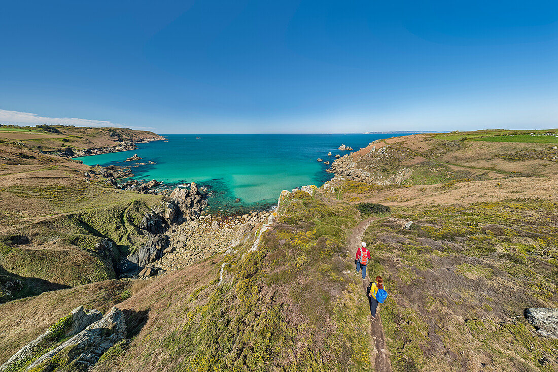 Mann und Frau wandern auf dem Zöllnerweg am Cap Sizun mit Meer im Hintergrund, Cap-Sizun, GR 34, Zöllnerweg, Bretagne, Frankreich