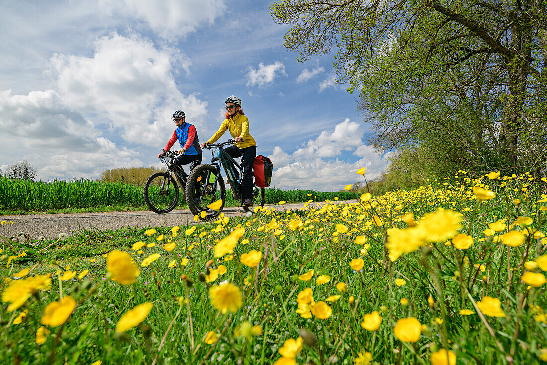 Man and woman cycling with flower meadow in the foreground, cycle path on the Cher, Loire castles, Loire Valley, UNESCO World Heritage Loire Valley, France