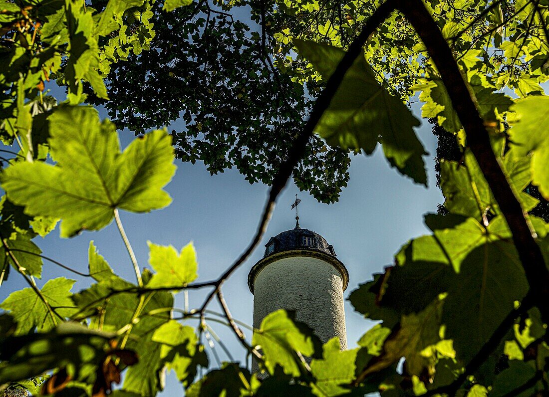 Tower of Rabenstein Castle, seen through the treetops of the park, Chemnitz, Saxony, Germany