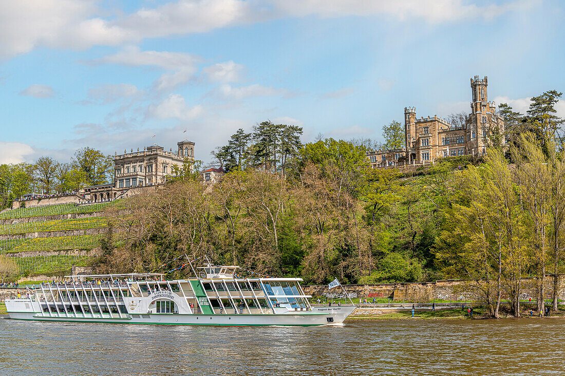 Modernes Ausflugsschiff vor dem Schloss Eckberg und der Villa Stockhausen (Lingnerschloss), zwei der drei Elbschlösser im Elbtal von Dresden vom gegenüberliegenden Elbufer gesehen, Dresden, Sachsen, Deutschland