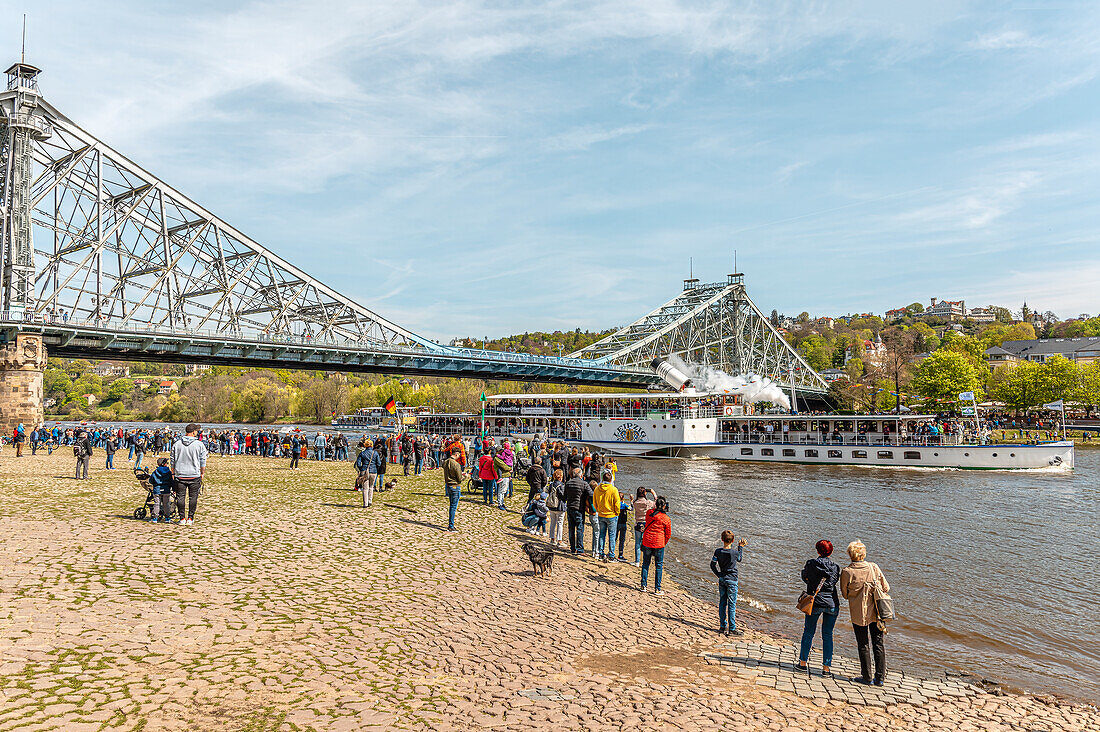 Historisches Dampfschiff und Zuschauer während der Dampferparade 2023, Brücke Blaues Wunder, Loschwitzer Brücke, Dresden, Sachsen, Deutschland