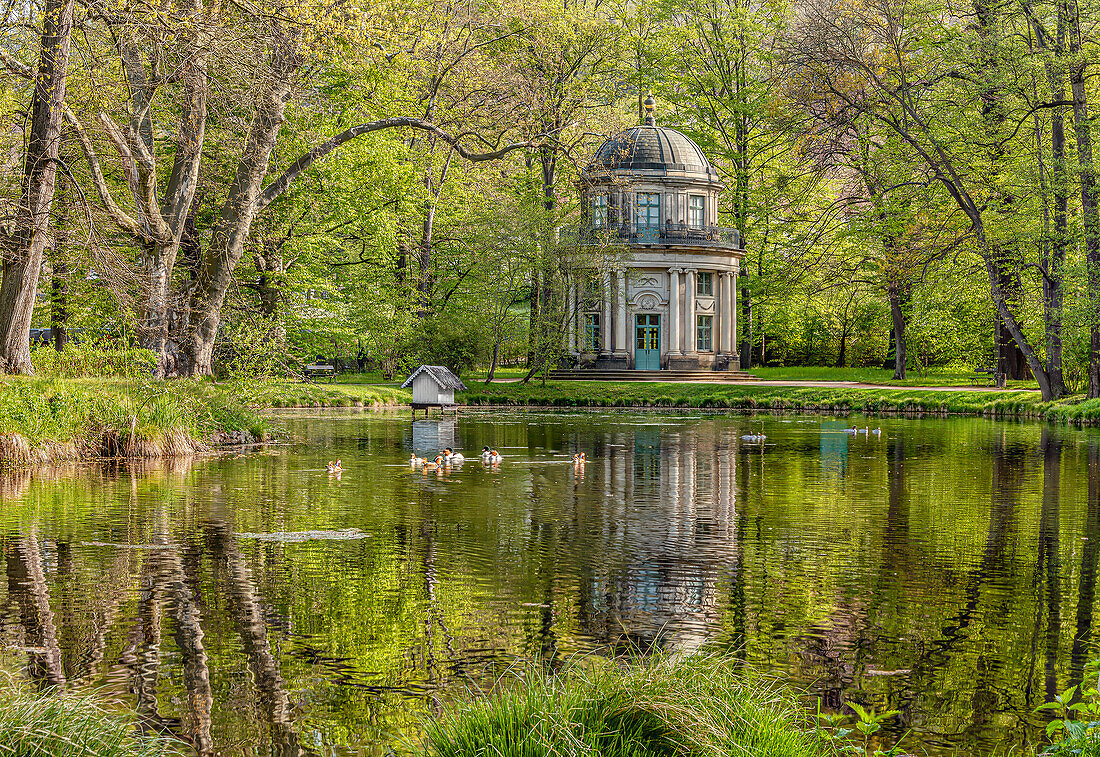 Englischer Pavillon im Schlosspark Pillnitz in Dresden, Sachsen, Deutschland im Frühling 