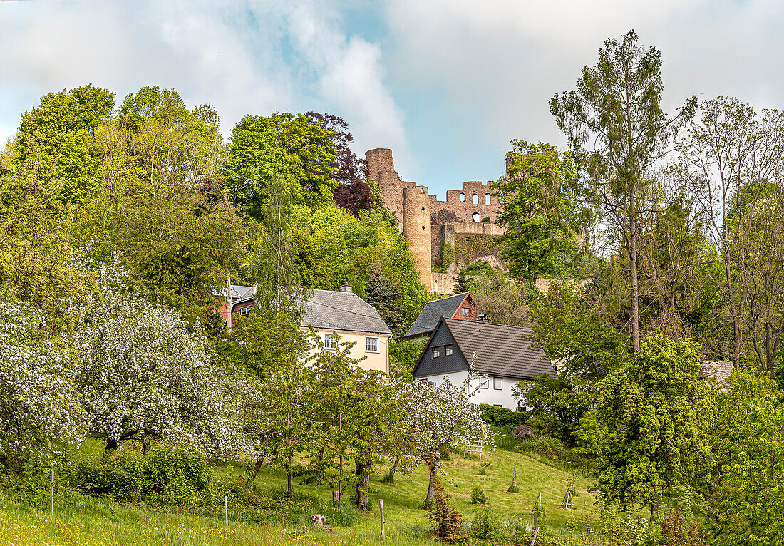 Aussicht auf die Burgruine Frauenstein im gleichnamigen Ort, Sachsen, Deutschland