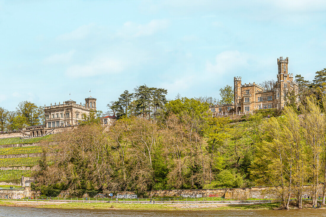 Eckberg Castle and Villa Stockhausen (Lingner Castle), two of the three Elbe castles in the Elbe valley of Dresden seen from the opposite bank of the Elbe, Saxony, Dresden