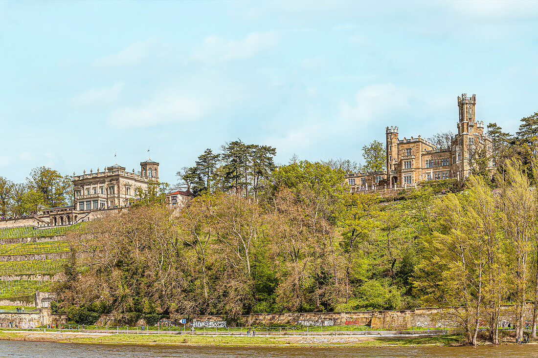 Schloss Eckberg und Villa Stockhausen (Lingnerschloss), zwei der drei Elbschlösser im Elbtal von Dresden vom gegenüberliegenden Elbufer gesehen, Sachsen, Dresden