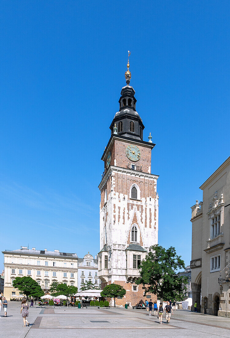 Rynek Glówny with town hall tower in the old town of Kraków in Poland