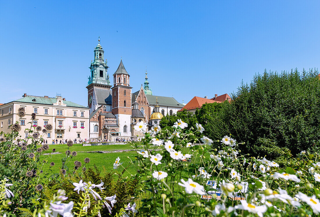 Wawel Plateau (Wzgórze Wawelskie) with cathedral and Sigismund's Chapel (Kaplica Zygmuntowska) in the old town of Kraków in Poland