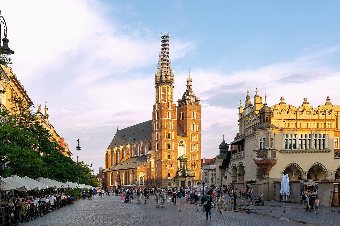 Rynek Glówny with St. Mary's Church (Kościół Mariacki) and Cloth Hall (Sukienice) in the evening light in the old town of Kraków in Poland