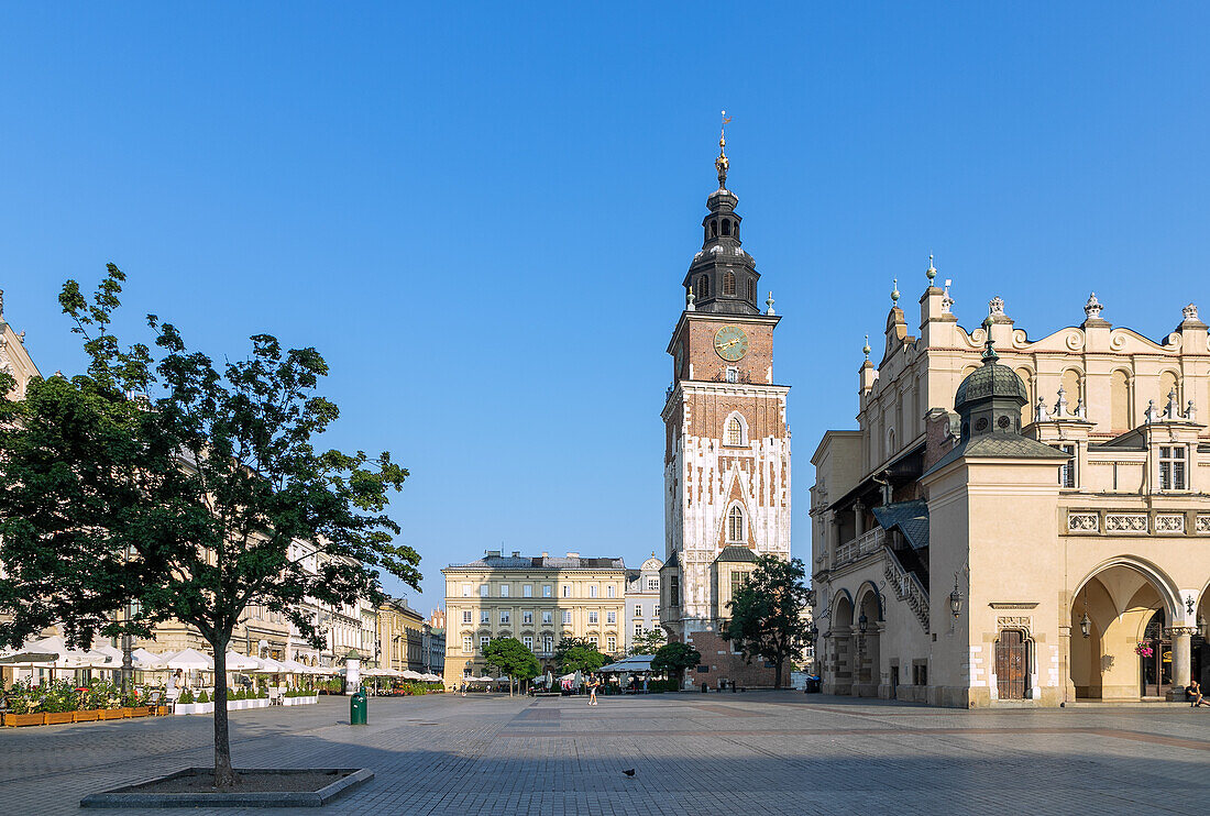 Rynek Glówny mit Tuchhallen (Sukienice) und Rathausturm im Morgenlicht in der Altstadt von Kraków in Polen
