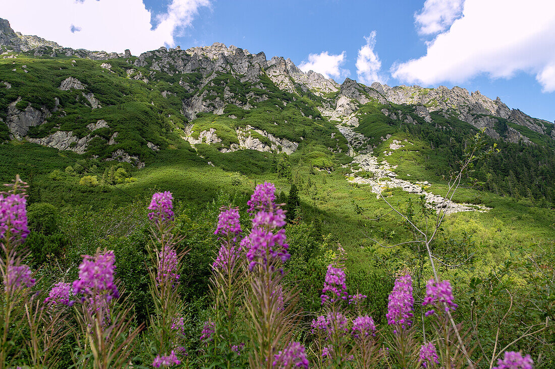 Gebirgszug des Mała Buczynowa Turnia am Wanderweg zum Tal der Fünf Polnischen Teiche (Dolina Pięciu Stawów Polskich) und Morskie Oko im Nationalpark Tatra (Tatrzański Park Narodowy) in Polen