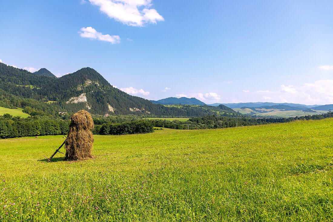 Landschaft im Dunajec-Tal am Eingang zum Pieniny-Nationalpark (Pieninský Park Narodowy) mit Blick auf die Drei Kornen (Trzy Korony) bei Niedzica in Südpolen in der Wojewoschaft Malopolskie in Polen