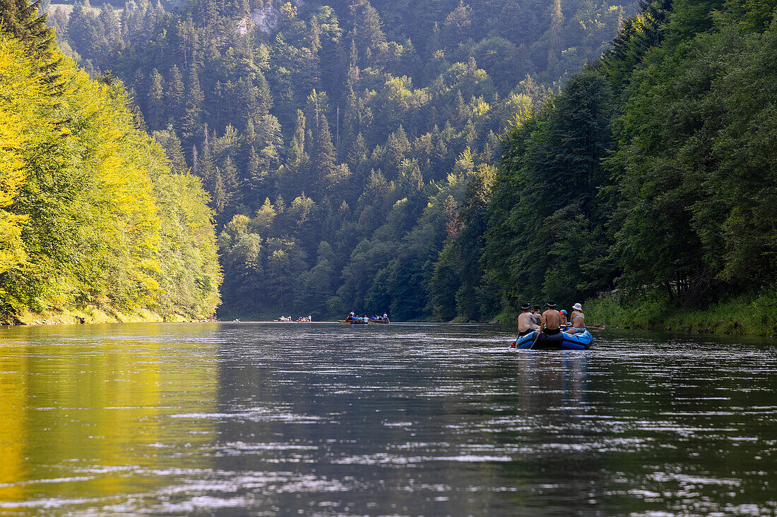 Rafting trip in the Dunajec Canyon in the Pieniny National Park (Pieninský Park Narodowy) in southern Poland in the Malopolskie Voivodeship in Poland