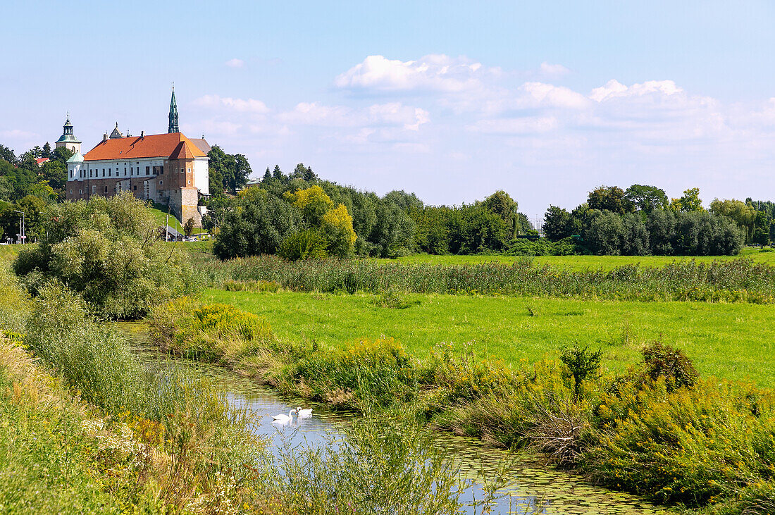 Royal Castle (Zamek królewski w Sandomierzu) and Vistula oxbow with swans in Sandomierz in Podkarpackie Voivodeship of Poland