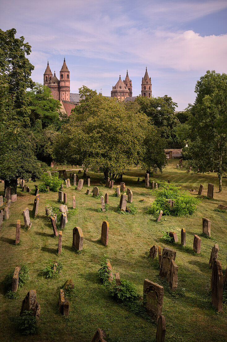 UNESCO World Heritage &quot;SchUM Sites&quot;, Jewish Cemetery &quot;Heiliger Sand&quot; with a view of Worms Cathedral, Worms, Rhineland-Palatinate, Germany, Europe