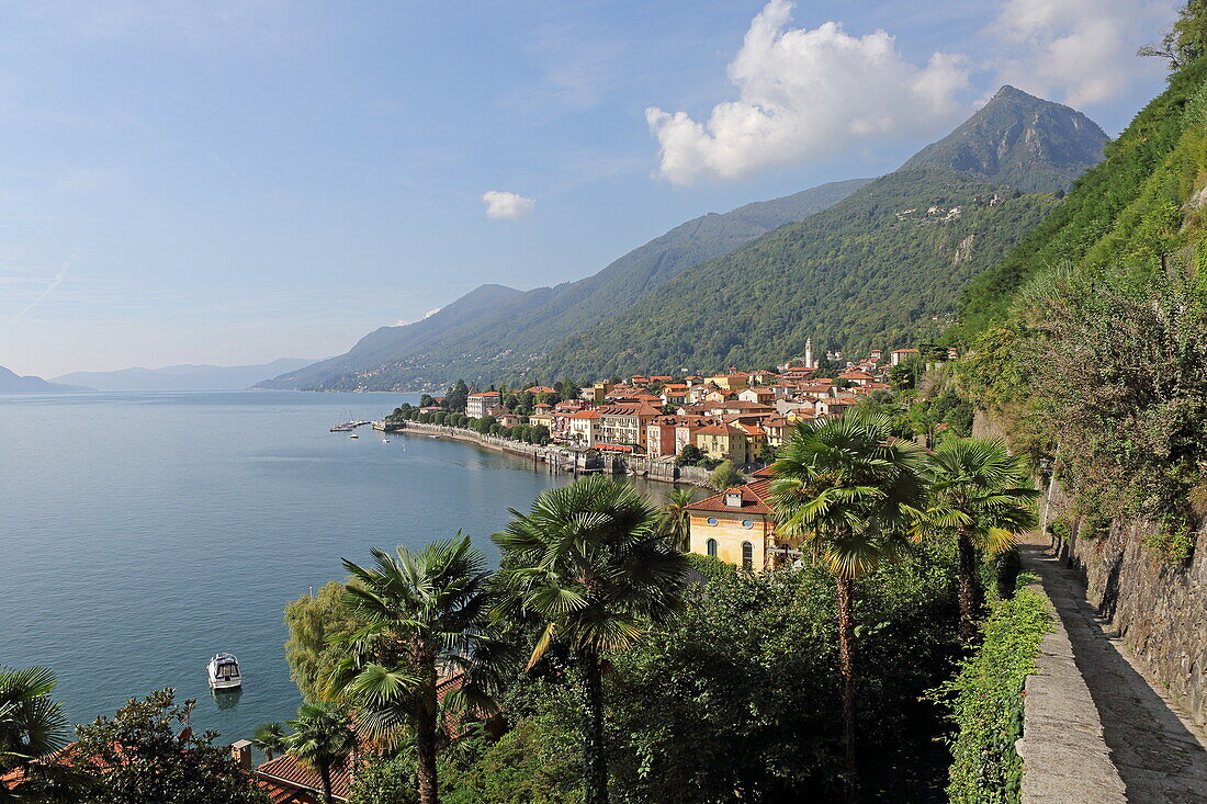 Blick auf den Ort Cannero Riviera, Lago Maggiore, Piemont, italien