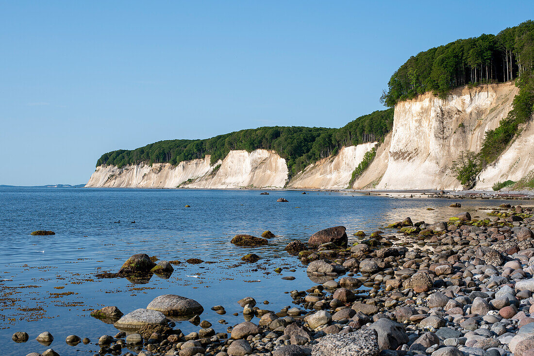 Kolliker shore, chalk cliffs, Jasmund National Park, Rügen Island, Mecklenburg-West Pomerania, Germany
