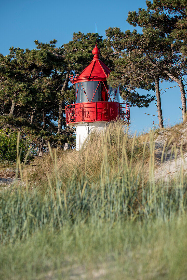 Gellen lighthouse, core zone of the Vorpommersche Boddenlandschaft National Park, Hiddensee Island, Mecklenburg-West Pomerania, Germany