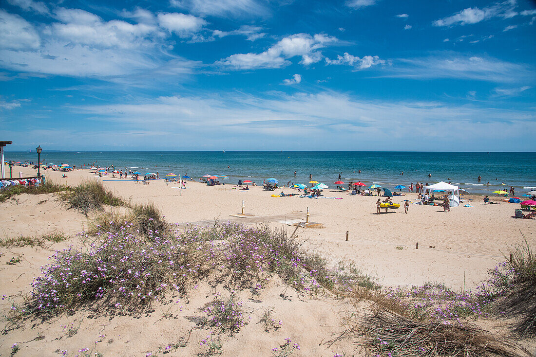 Dune beach of Oliva Nova near Denia one of the most beautiful on the Costa Blanca, Spain in early summer