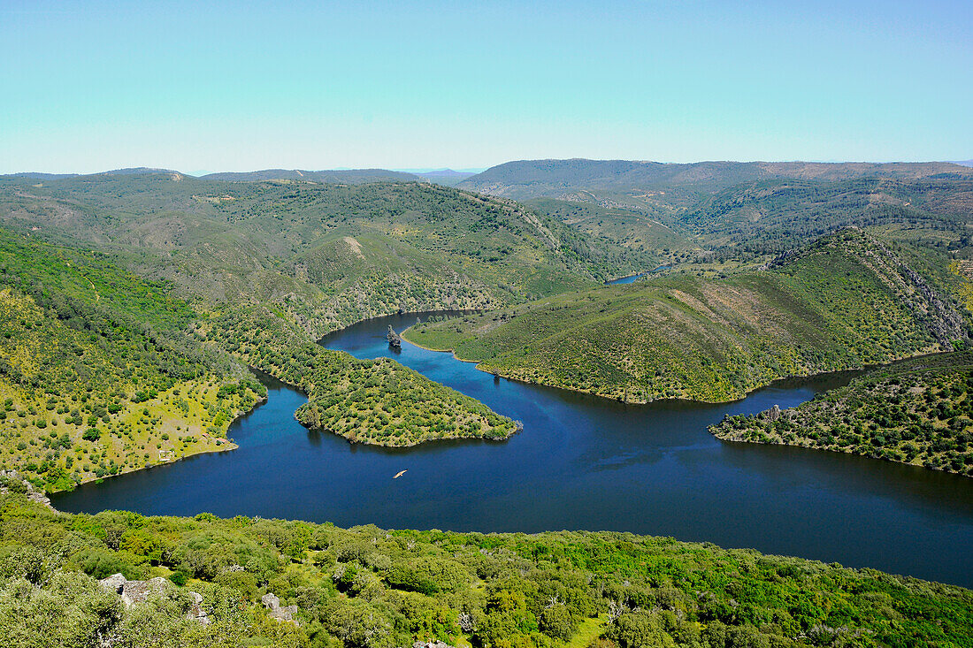 National Park, Monfragüe, in Extremadura, here the Tetjar flows into the Tajo, a vulture flies below left, Spain