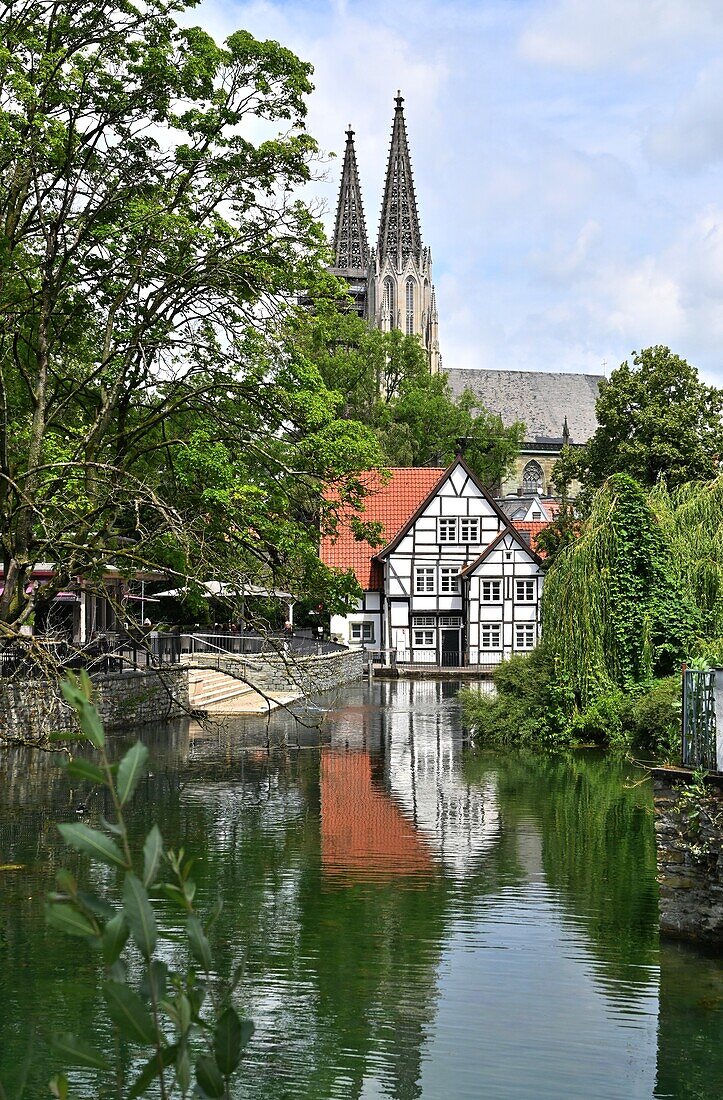 at the city pond, old town of Soest in southern Munsterland, NRW, Germany