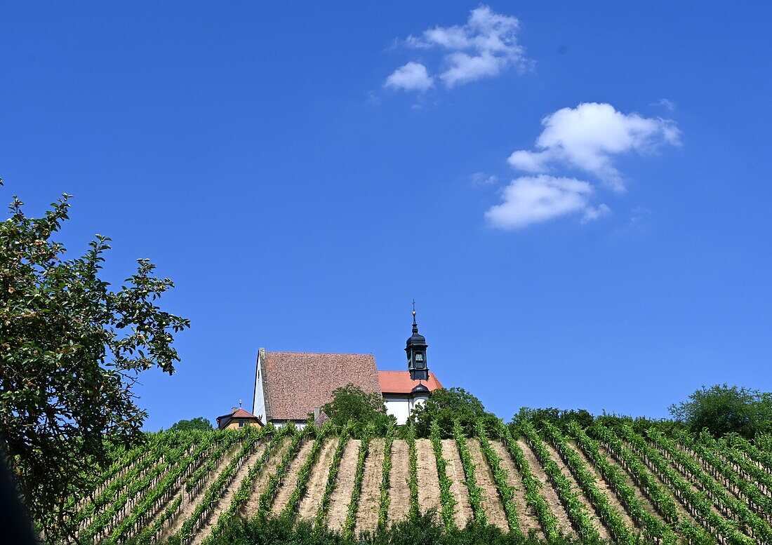 Maria im Weingarten near Volkach am Main, Lower Franconia, Bavaria, Germany