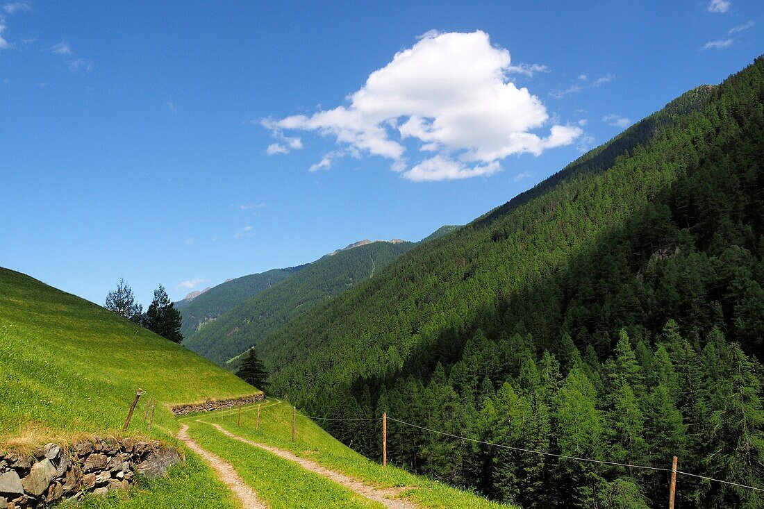 Wanderweg bei St. Gertrude im oberen Ultental, Südtirol, Italien
