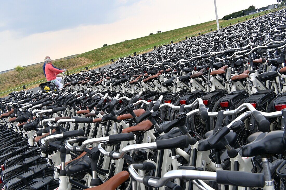 Bicycles at the Nes ferry terminal on the island of Ameland, Friesland, Netherlands