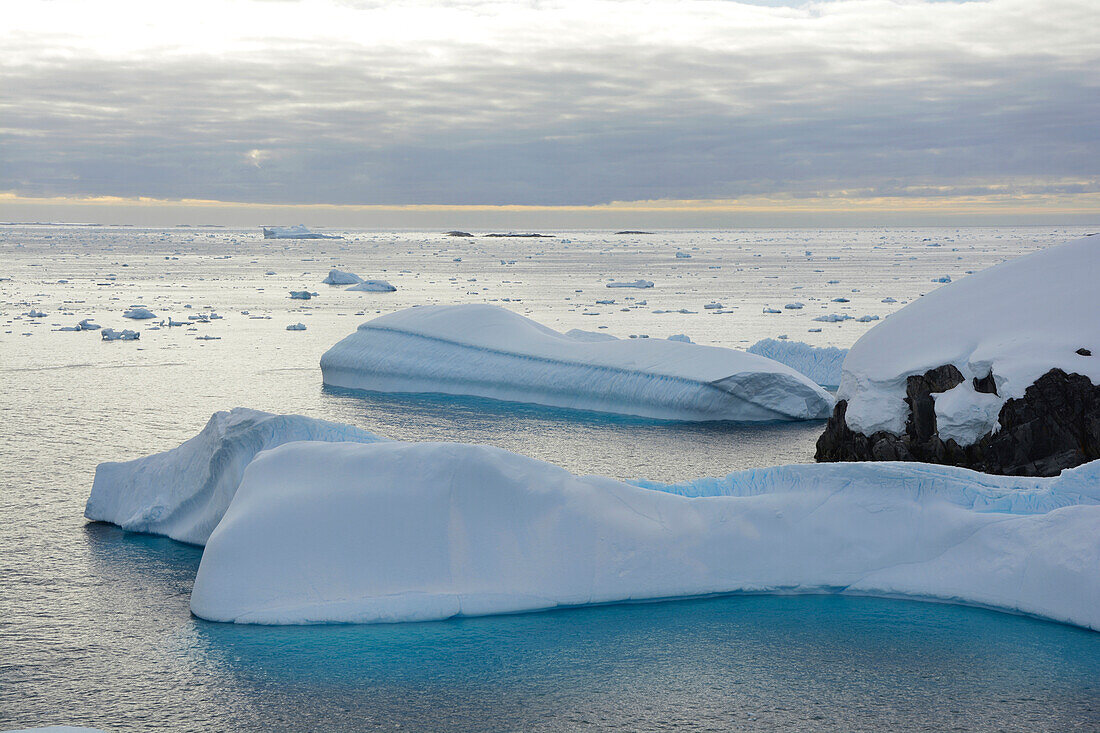 Antarctic; Antarctic Peninsula at Petermann Island; bright turquoise icebergs off the coast